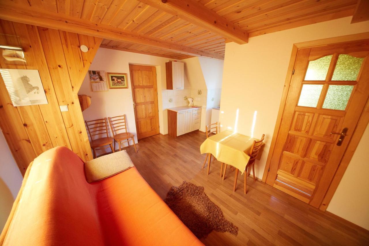 Siklawa Appartement Zakopane Kamer foto